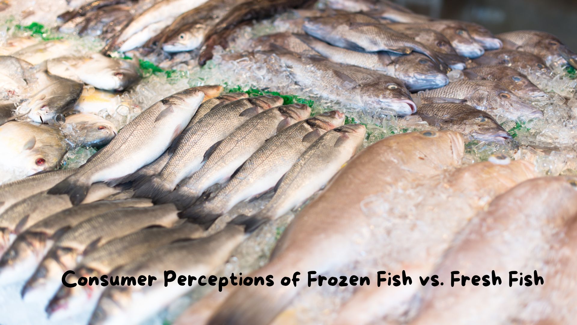 Consumer Perceptions of Frozen Fish vs. Fresh Fish